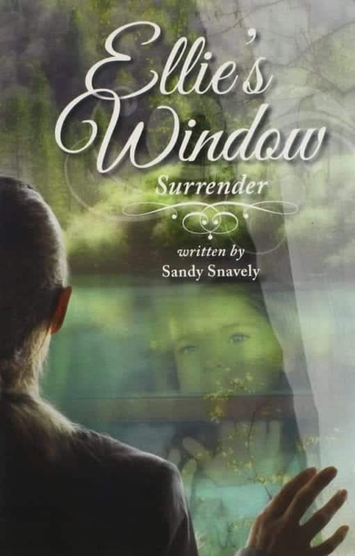 Ellies Window Surrender | Mindstir Media Book Cover
