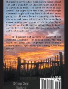 Dengman Gap by author Tony Irons | Mindstir Media Book Cover