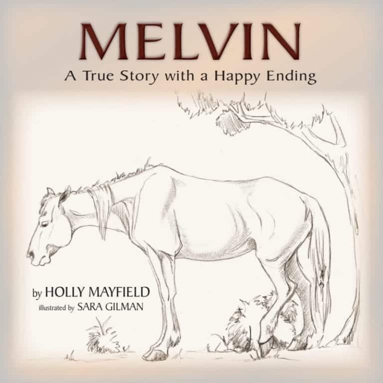 Melvin A True Story with a Happy Ending by Holly Mayfield | Mindstir Media Book Cover