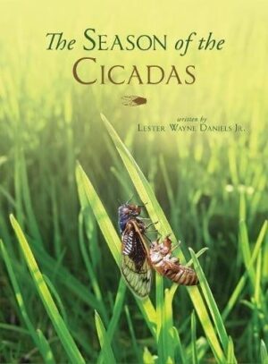 The Season of the Cicadas | Mindstir Media Book Cover