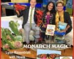 Congrats to Mindstir Media author Lynn Rosenblatt for her recent TV appearance on CT Style ABC Network | Mindstir Media Book Cover