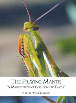 The Praying Mantis A Manifestation of God Come to Earth | Mindstir Media Book Cover
