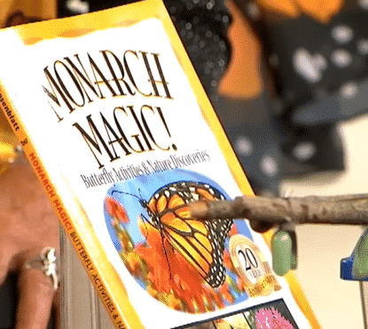 monarc magic | Mindstir Media Book Cover