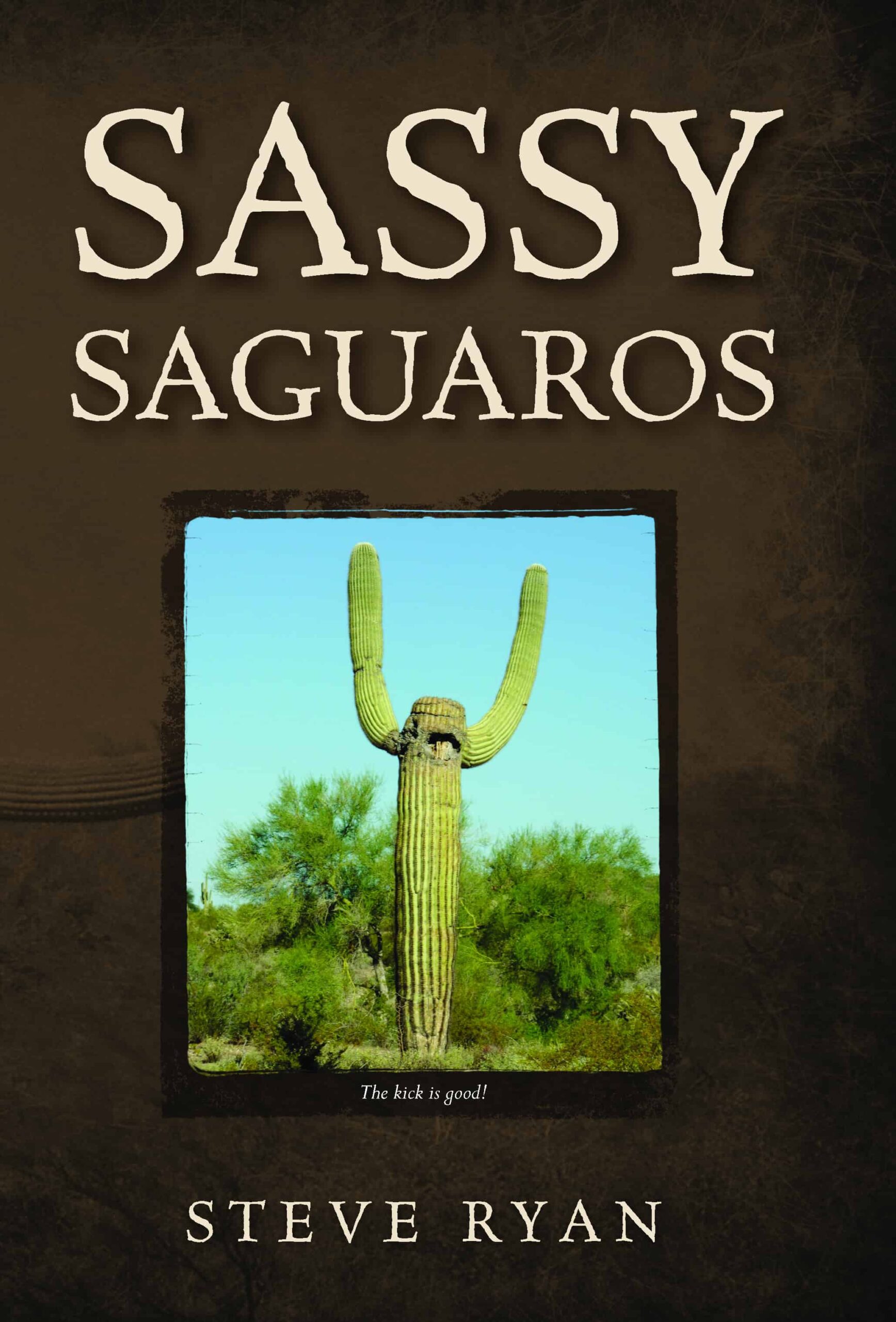 sassy scaled | Mindstir Media Book Cover