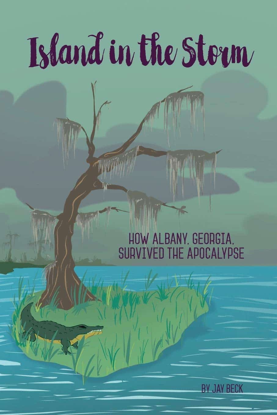 Island in the Storm | Mindstir Media Book Cover
