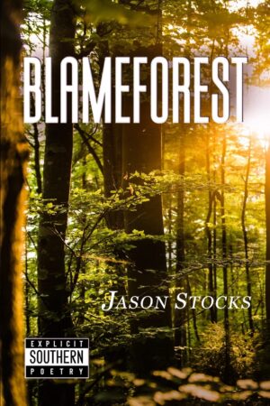 Blameforest | Mindstir Media Book Cover