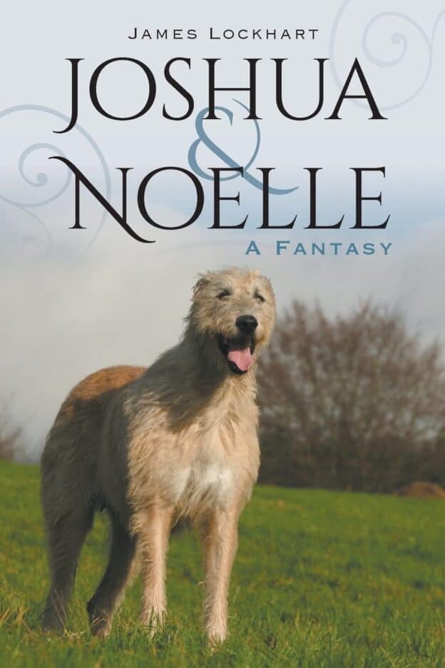 Joshua and Noelle A Fantasy | Mindstir Media Book Cover