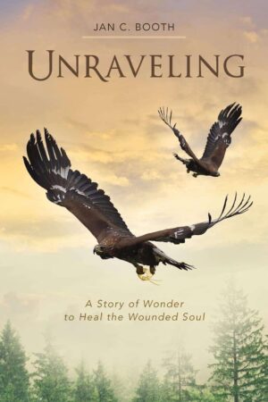 Unraveling A Story of Wonder to Heal the Wounded Soul | Mindstir Media Book Cover